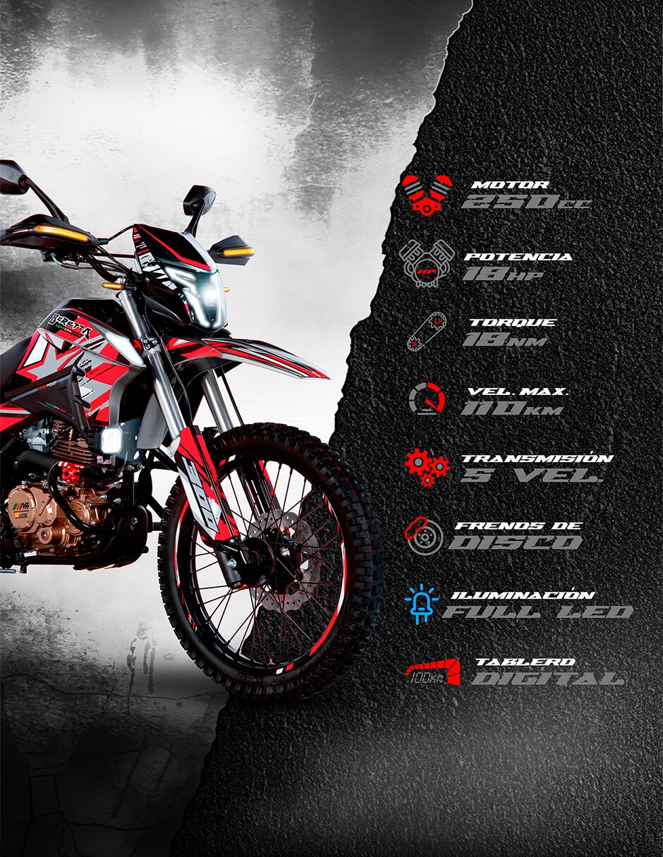 Motocicleta doble propósito Beretta 300 ROJA 2027 5