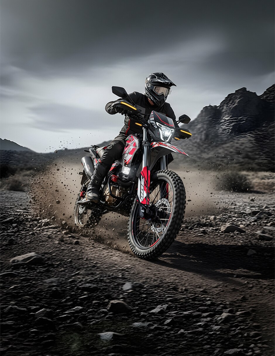 Motocicleta doble propósito Beretta 300 ROJA 2027 8